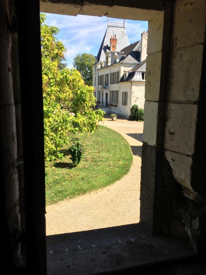 Chateau De La Coutanciere Brain-sur-Allonnes Exterior foto